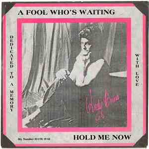 Andy Brina - A Fool Who's Waiting / Hold Me Now mp3 album