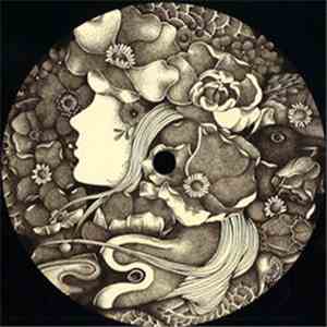 Autre / D_roots - Prima / Asmr mp3 album