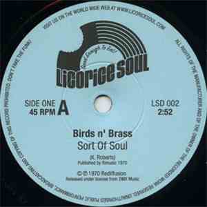 Birds N' Brass - Sort Of Soul mp3 album