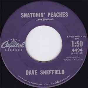 Dave Sheffield - Snatchin' Peaches / Ling Ting Laundry mp3 album