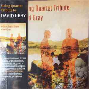 David Ari Leon - The String Quartet Tribute To David Gray mp3 album