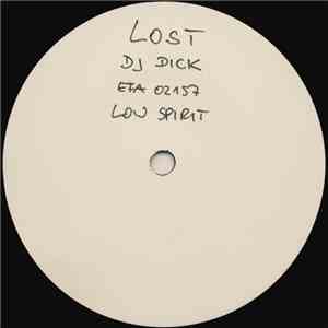 DJ Dick - Lost On Mayday mp3 album