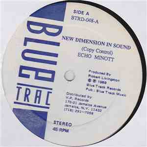 Echo Minott / Wayne Fire - New Dimension In Sound / Woman Pension mp3 album
