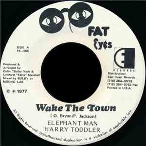 Elephant Man / Harry Toddler - Wake The Town mp3 album
