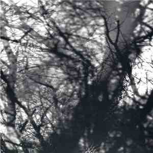Grouper - Way Their Crept mp3 album