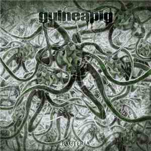 Guineapig  - Bacteria mp3 album