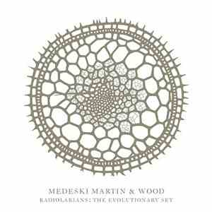 Medeski Martin & Wood - Radiolarians: The Evolutionary Set mp3 album