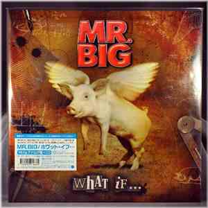 Mr. Big - What If... mp3 album