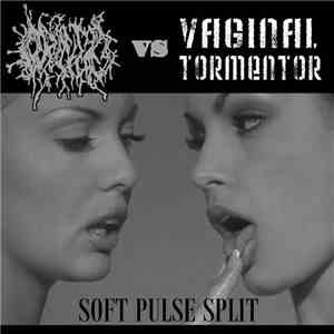 Orifice , Vaginal Tormentor - Soft Pulse Split mp3 album