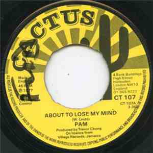 Pam - About To Lose My Mind mp3 album