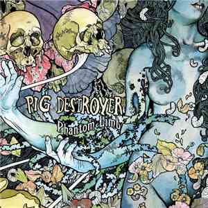 Pig Destroyer - Phantom Limb mp3 album