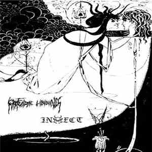 Profundae Libidines, Inssect - Split tape Profundae Libidines / Inssect mp3 album