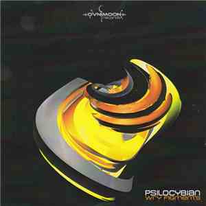 Psilocybian - Wry Figments mp3 album