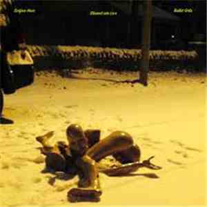 Surface Hoar / Rabbit Girls - Shamed Into Love mp3 album