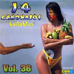Various - 14 Cañonazos Bailables Vol. 36 mp3 album