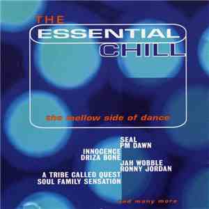 Various - The Essential Chill mp3 album
