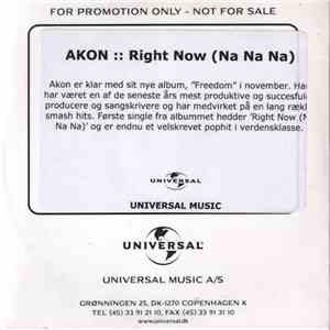 Akon - Right Now (Na Na Na) mp3 album