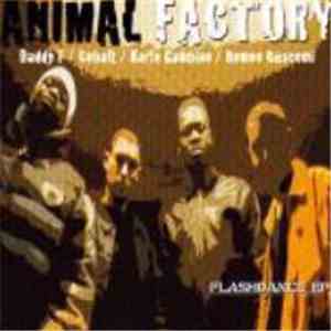 Animal Factory  - Flashdance mp3 album