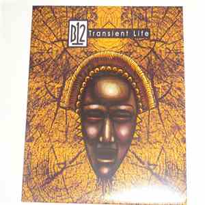 B12 - Transient Life mp3 album