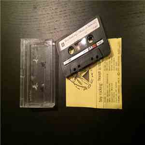 Boy Rocking - House Is Shaking mp3 album
