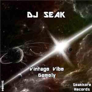 DJ Seak - Vintage Vibe / Gamely mp3 album