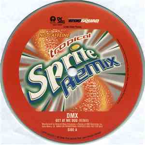 DMX - Get At Me Dog (Remix) mp3 album