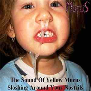 Mucus - The Sound Of Yellow Mucus Sloshing Around Your Nostrils mp3 album