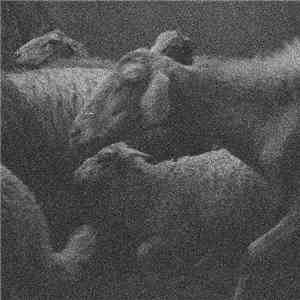 Pietro La Rocca - TR/ ManifestoRumoratorio mp3 album