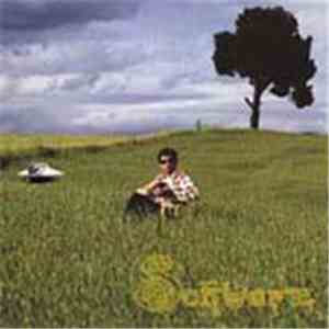 Schwarz  - These Songs Mean Nothing mp3 album