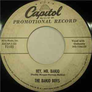 The Banjo Boys - Hey, Mr. Banjo mp3 album
