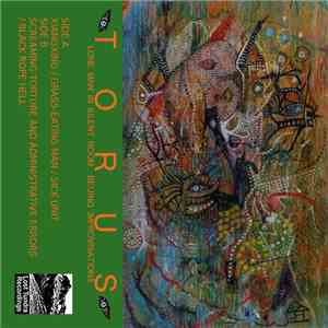 Torus  - Lone Man in Silent Room: Beijing Improvisations mp3 album