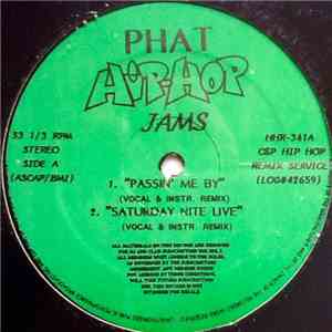 Various - Phat Hip-Hop Jams mp3 album