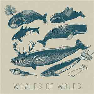 Whales Of Wales - Whales Of Wales mp3 album