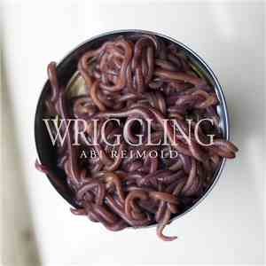 Abi Reimold - Wriggling mp3 album