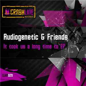 Audiogenetic & Friends - It Took Us A Long Time To EP mp3 album