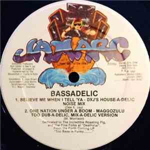 Bassadelic - One Nation Under A Boom mp3 album