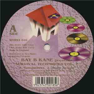 Bay B Kane - Survival Techniques Vol. 1 mp3 album