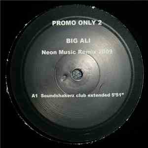 Big Ali - Neon Music Remix 2009 mp3 album