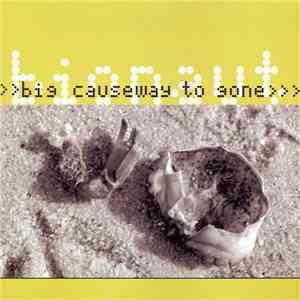 Bionaut - Big Causeway To Gone mp3 album