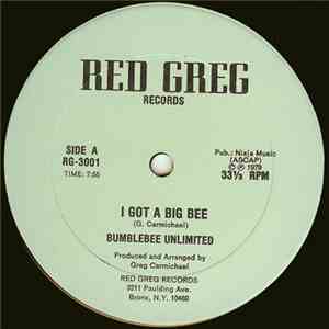 Bumblebee Unlimited / Universal Robot Band - I Got A Big Bee / Dance & Shake Your Tambourine mp3 album