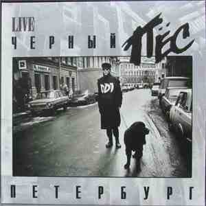 DDT - Чёрный Пёс Петербург mp3 album
