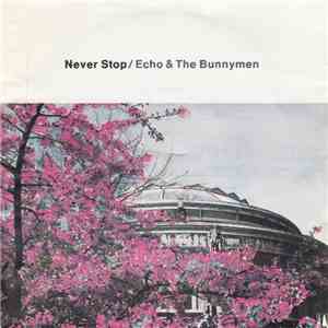 Echo & The Bunnymen - Never Stop mp3 album