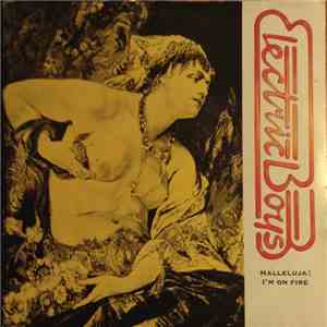 Electric Boys - Hallelujah! I'm On Fire mp3 album