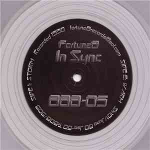 In Sync - Storm mp3 album