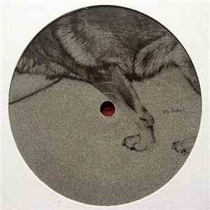Joy Boks - 12113 EP mp3 album