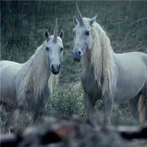 Lil Peep & Horse Head - Right Here mp3 album