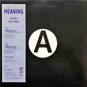 Meaning - Shake The Ruum mp3 album