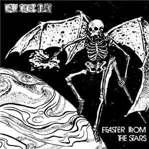 Owl  - Feaster From The Stars / Stone Loner mp3 album