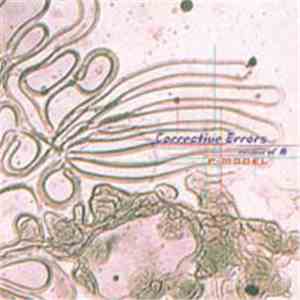 P-Model - Corrective Errors～remix of 舟 mp3 album