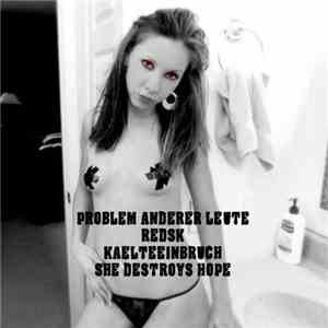 Problem Anderer Leute / Redsk / Kaelteeinbruch / She Destroys Hope - Untitled mp3 album
